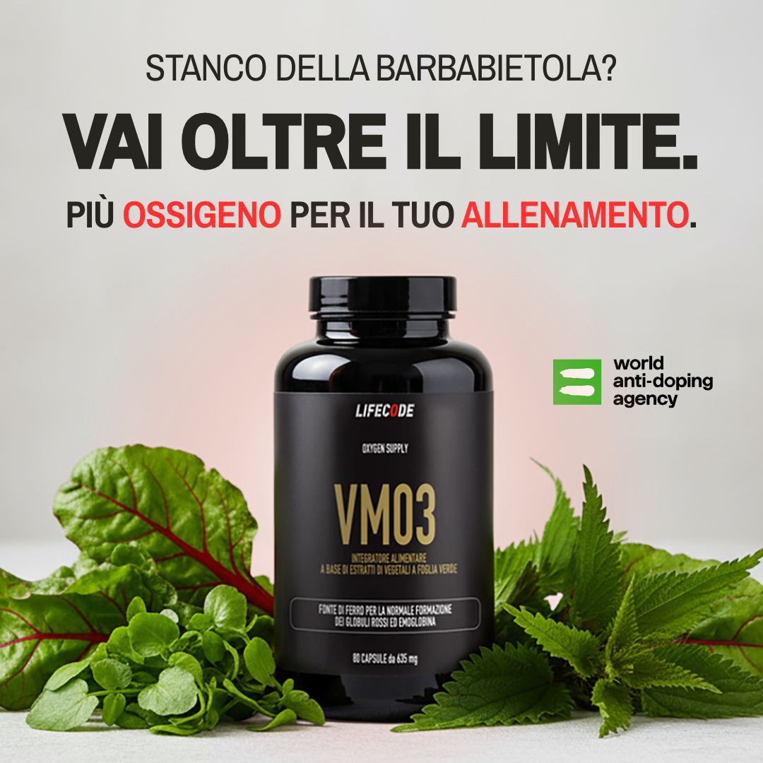 VM03